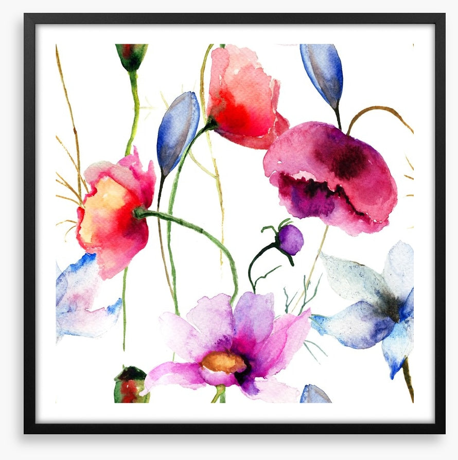 Wild flowers springtime