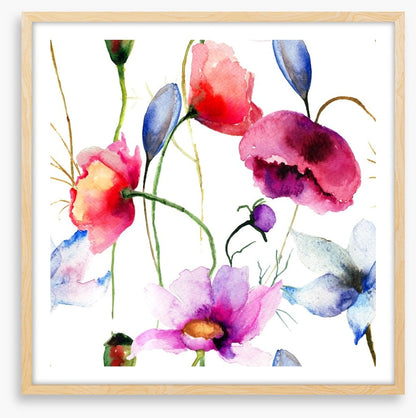 Wild flowers springtime