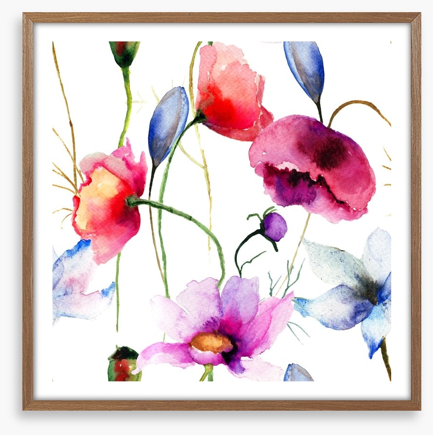 Wild flowers springtime