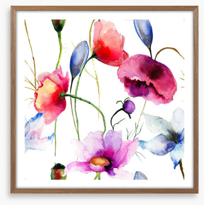 Wild flowers springtime