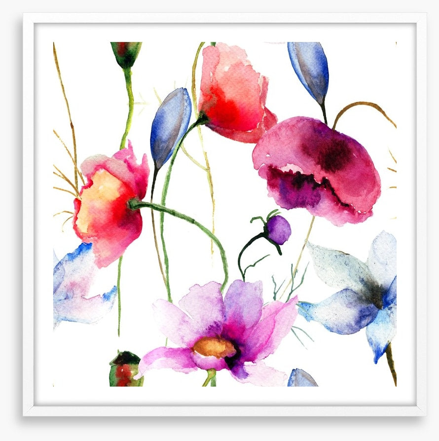 Wild flowers springtime