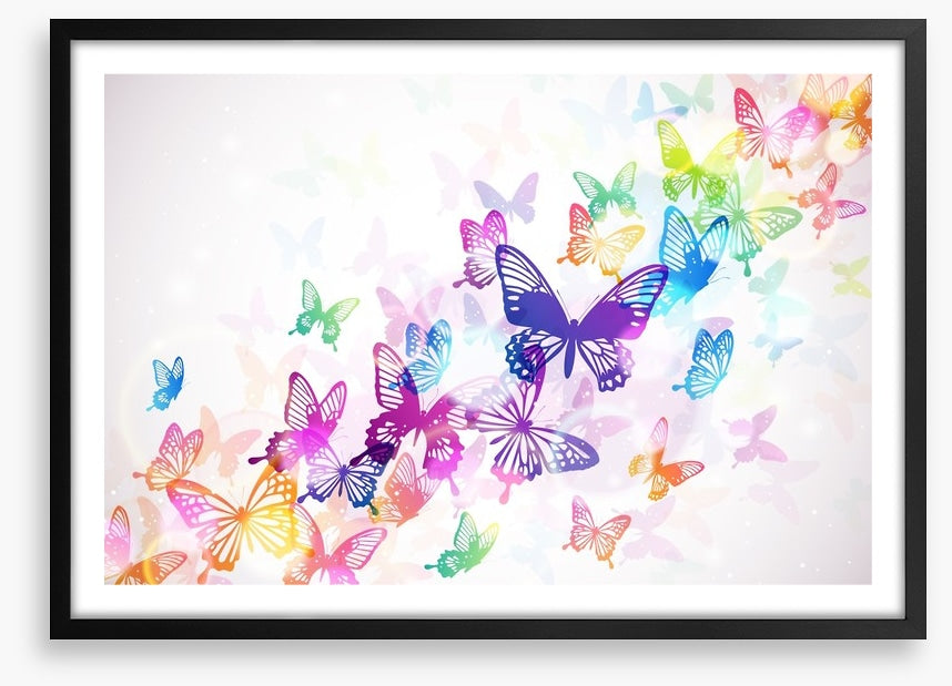 Butterfly rainbow