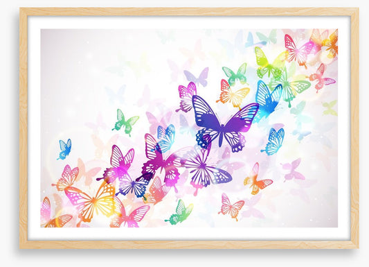 Butterfly rainbow