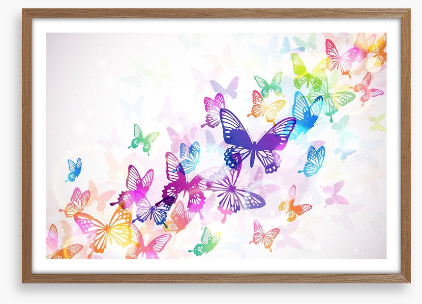 Butterfly rainbow