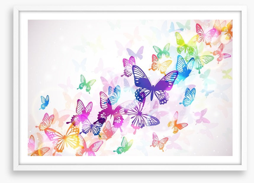 Butterfly rainbow