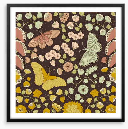 Butterflies