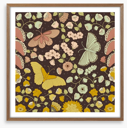 Butterflies