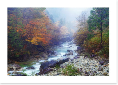 Rivers