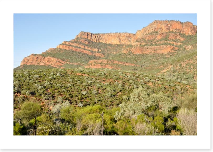Flinders Ranges, South Australia