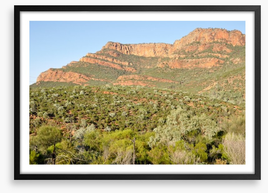 Flinders Ranges, South Australia