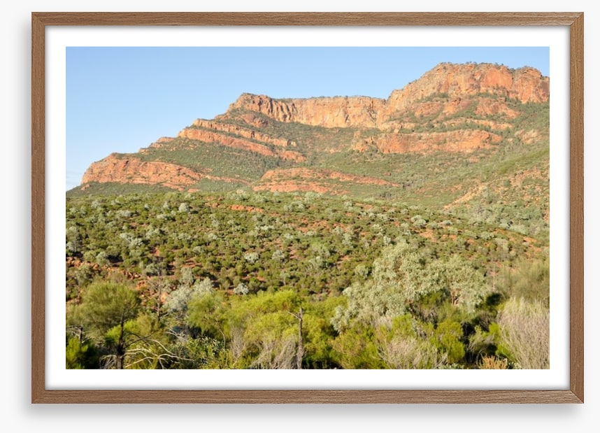 Flinders Ranges, South Australia
