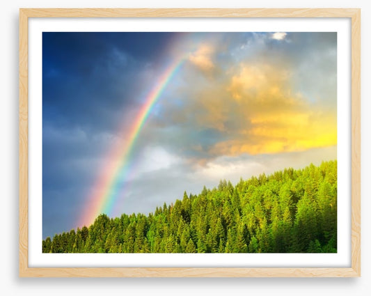 Rainbows