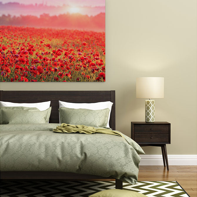 Poppy morning mist