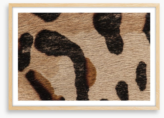 Animal Print