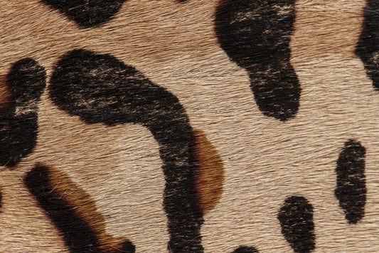 Animal Print
