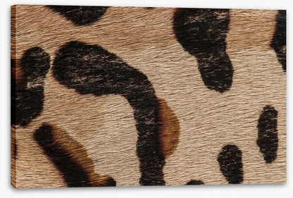 Animal Print