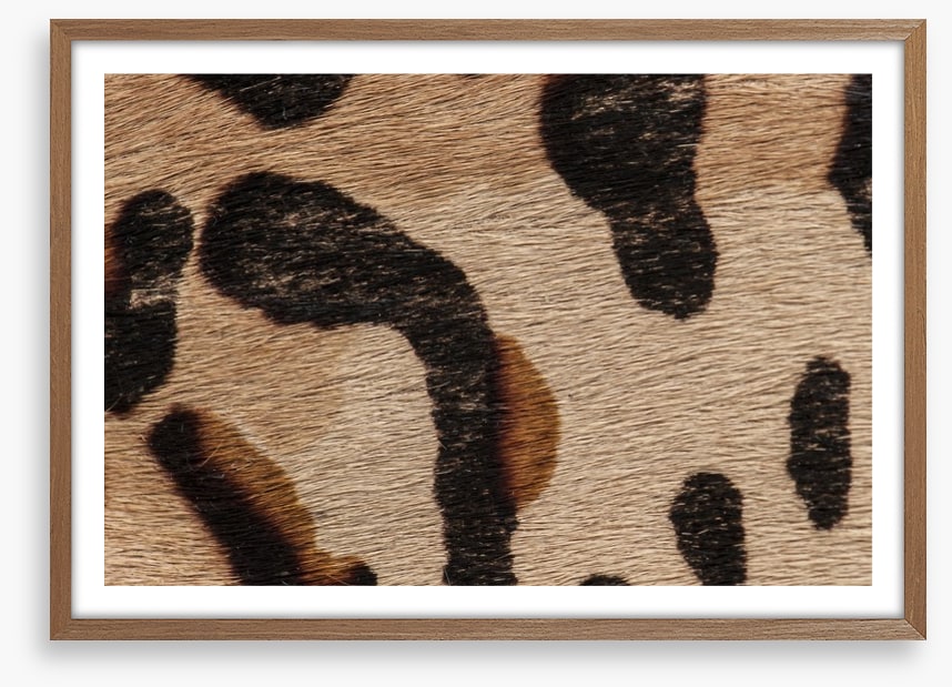 Animal Print