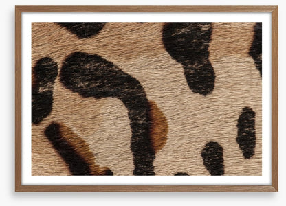 Animal Print
