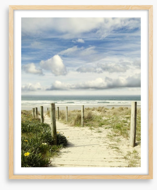 Path to the ocean