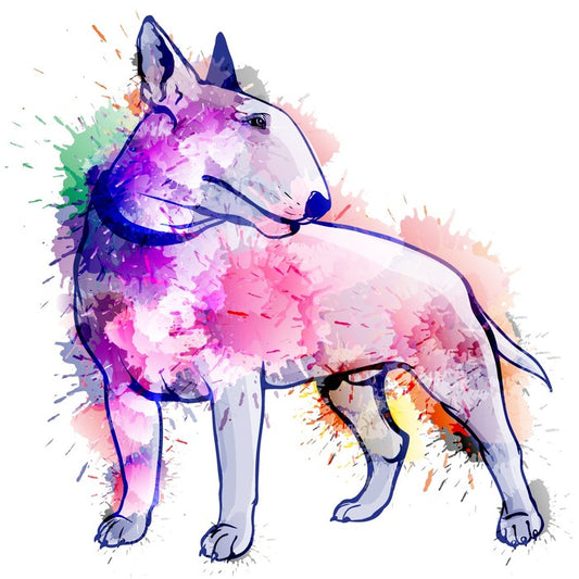 Bull terrier splash
