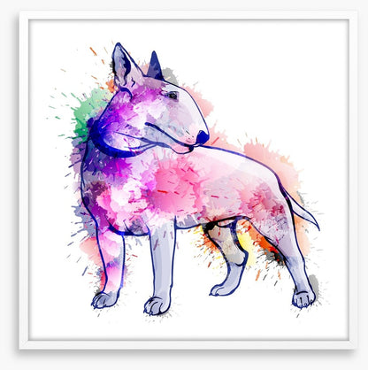 Bull terrier splash