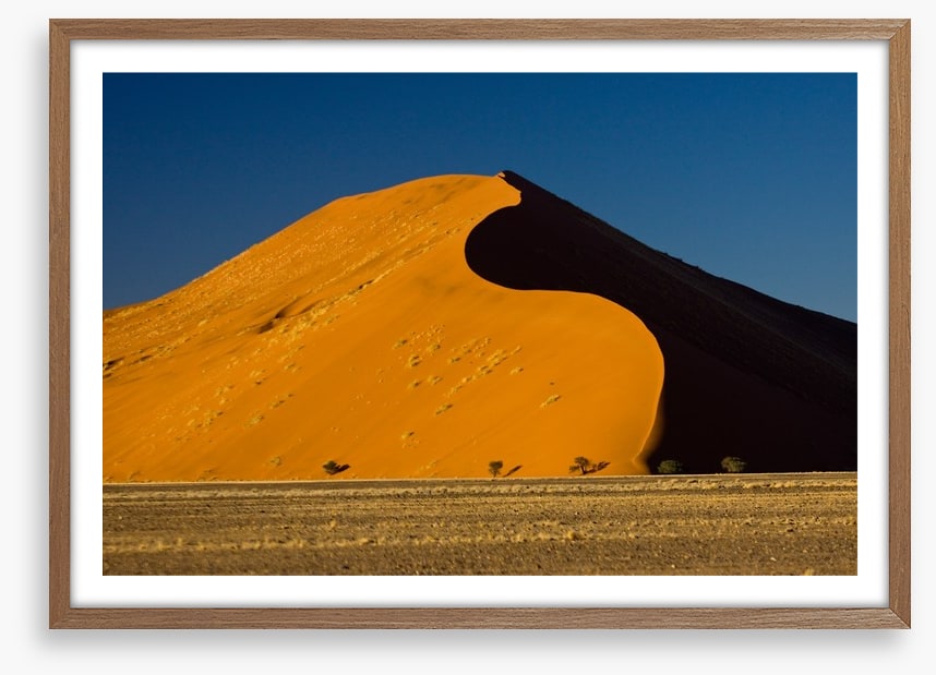 Desert