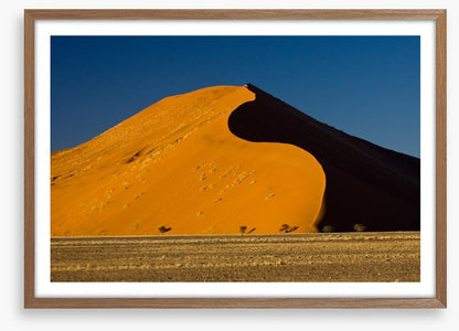 Desert