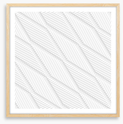 White on White