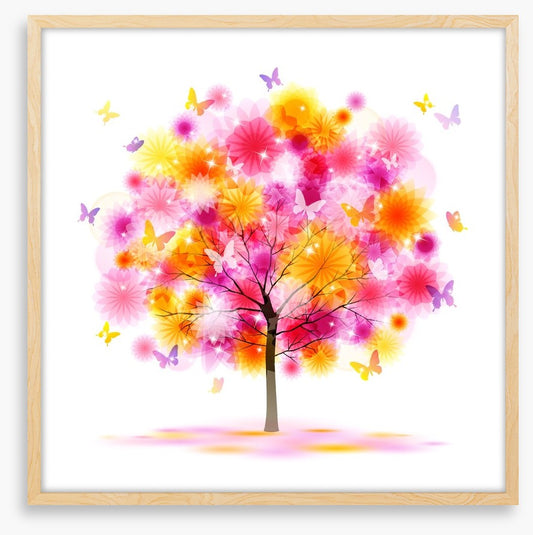 Butterfly blossom
