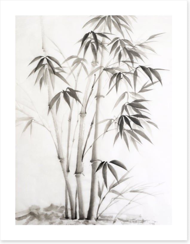 Bamboo watercolour