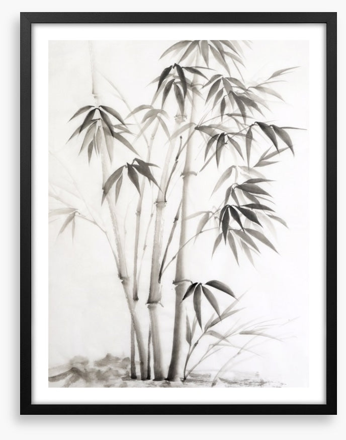 Bamboo watercolour