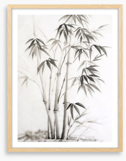 Bamboo watercolour