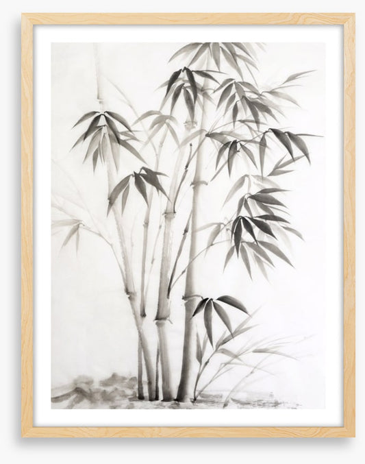 Bamboo watercolour