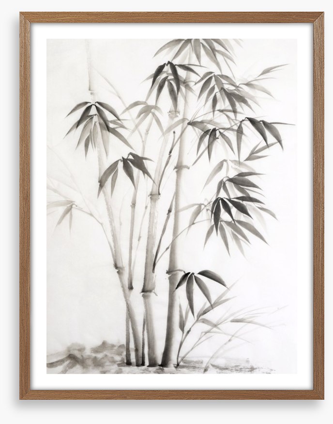Bamboo watercolour