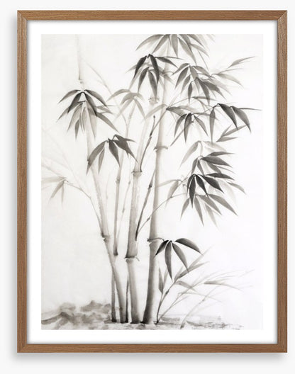 Bamboo watercolour