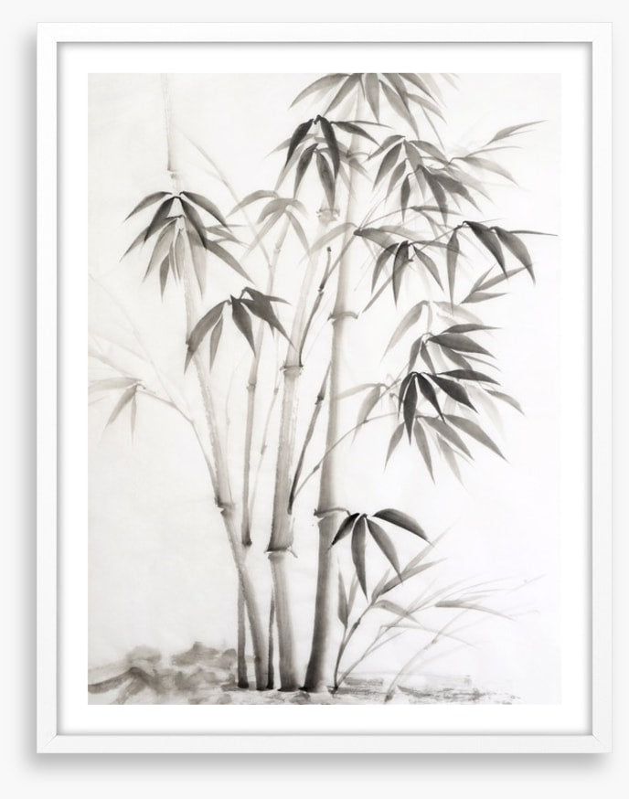 Bamboo watercolour