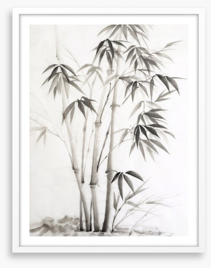Bamboo watercolour