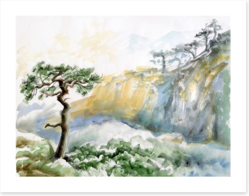 Rocks and pine tree
