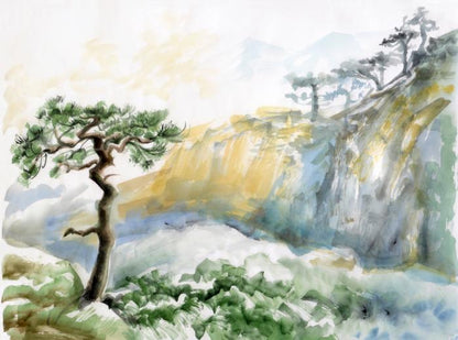 Rocks and pine tree