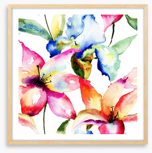 Lily and Iris
