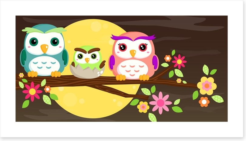 Owls