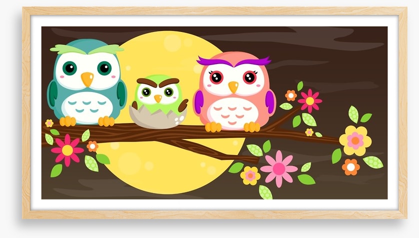 Owls