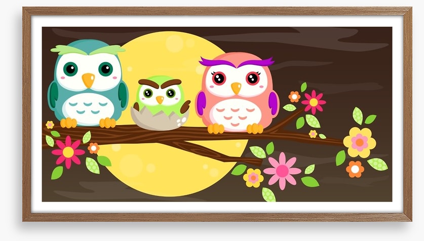 Owls