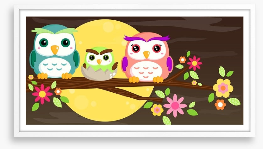 Owls