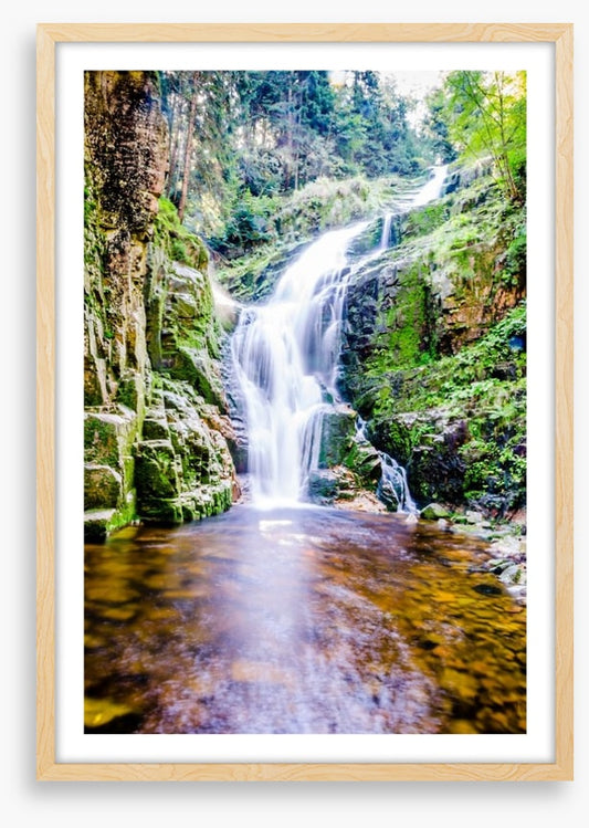 Fresh forest falls