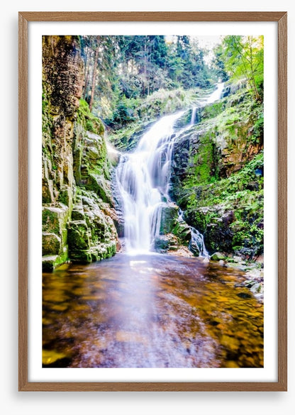 Fresh forest falls