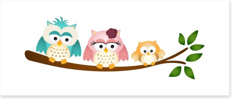 Little owl family