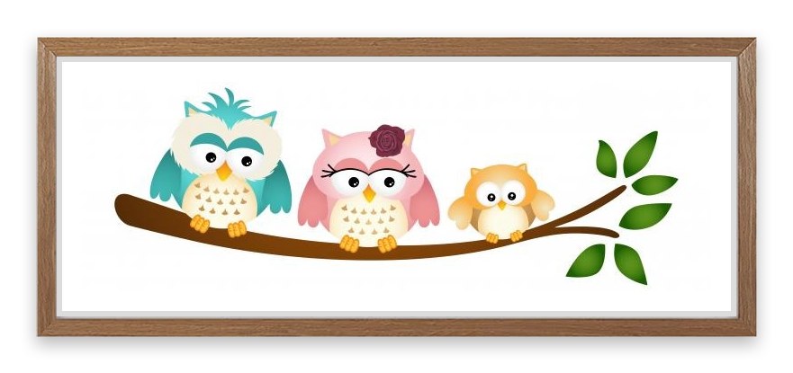 Little owl family