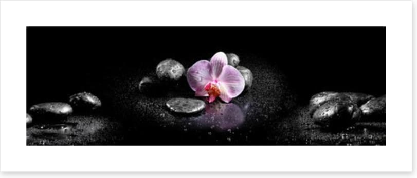 Orchids and stones panoramic