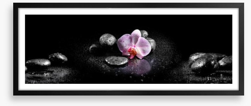 Orchids and stones panoramic